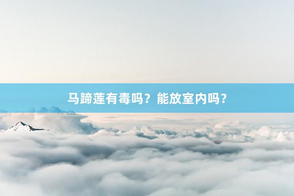 马蹄莲有毒吗？能放室内吗？