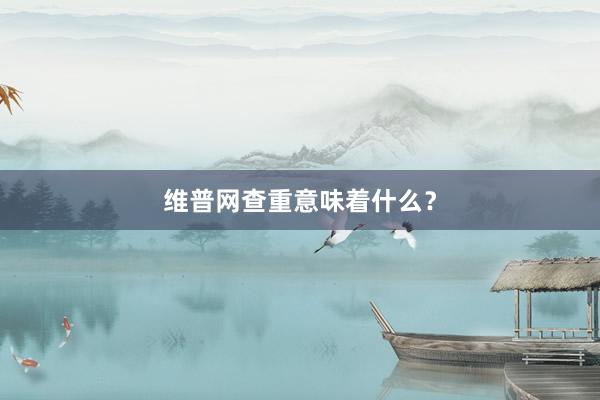 维普网查重意味着什么？