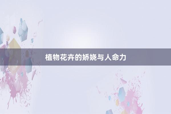 植物花卉的娇娆与人命力